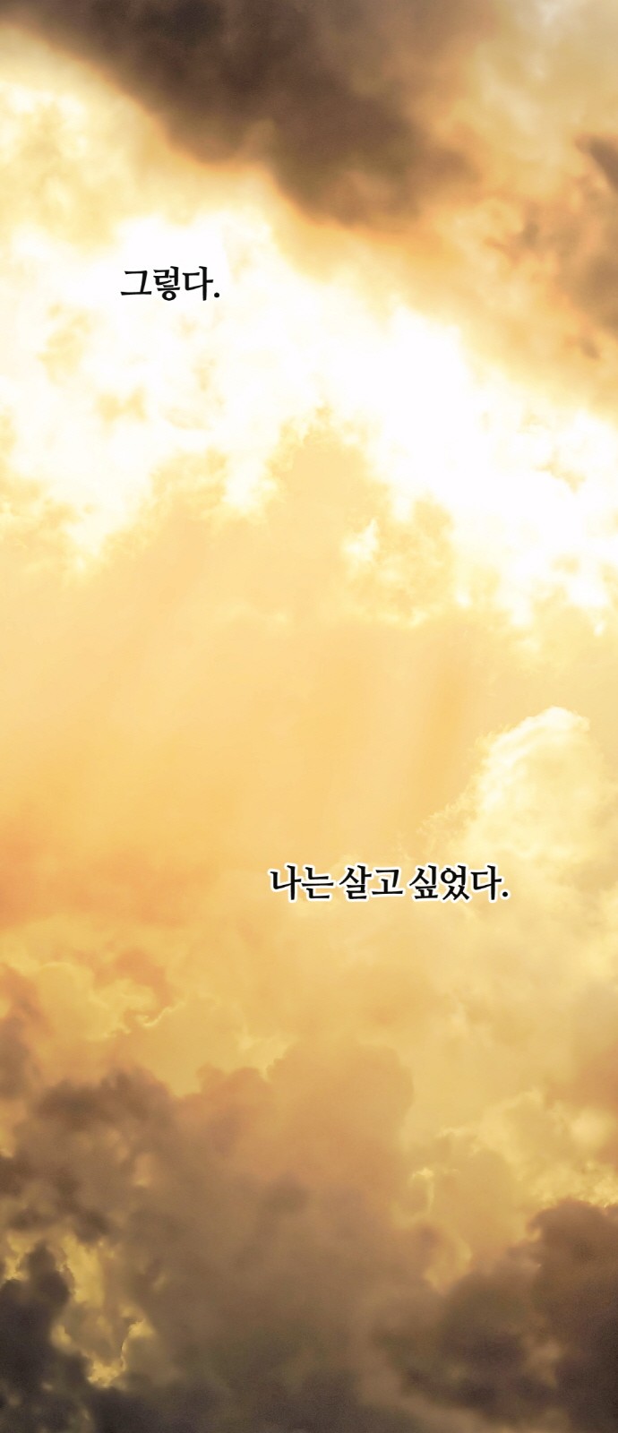 81 페이지