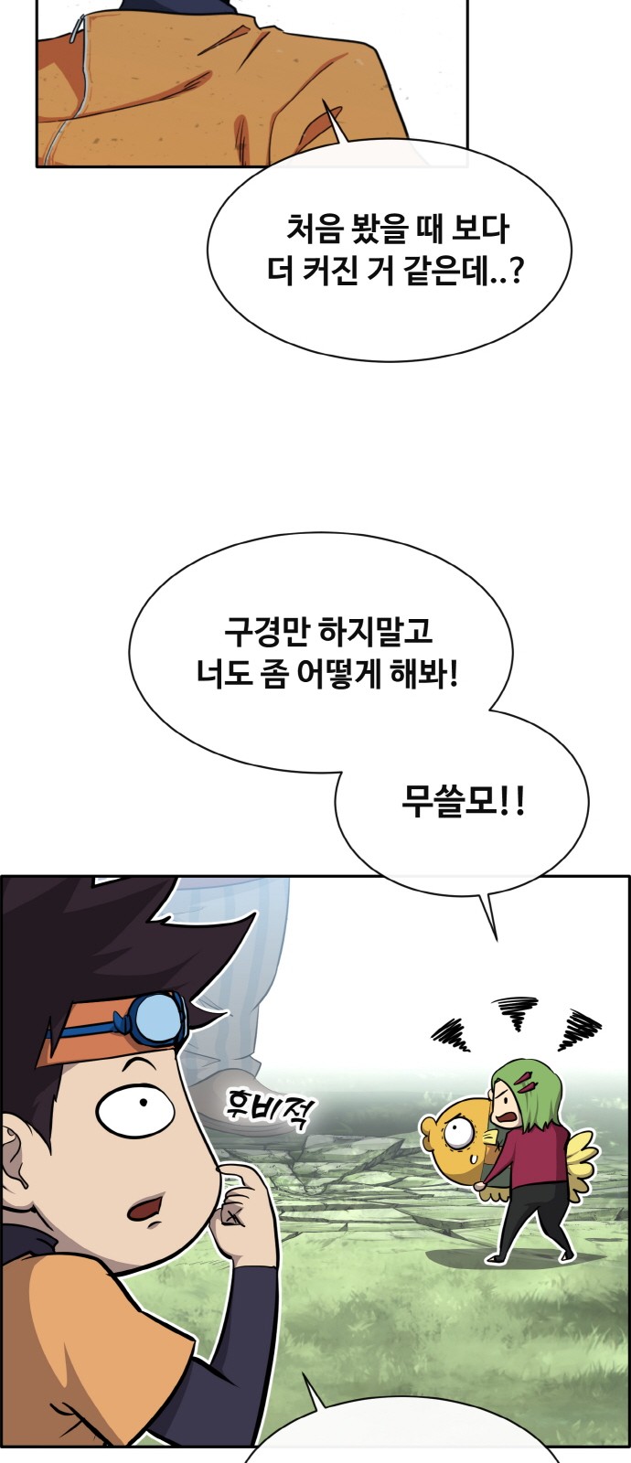 71 페이지