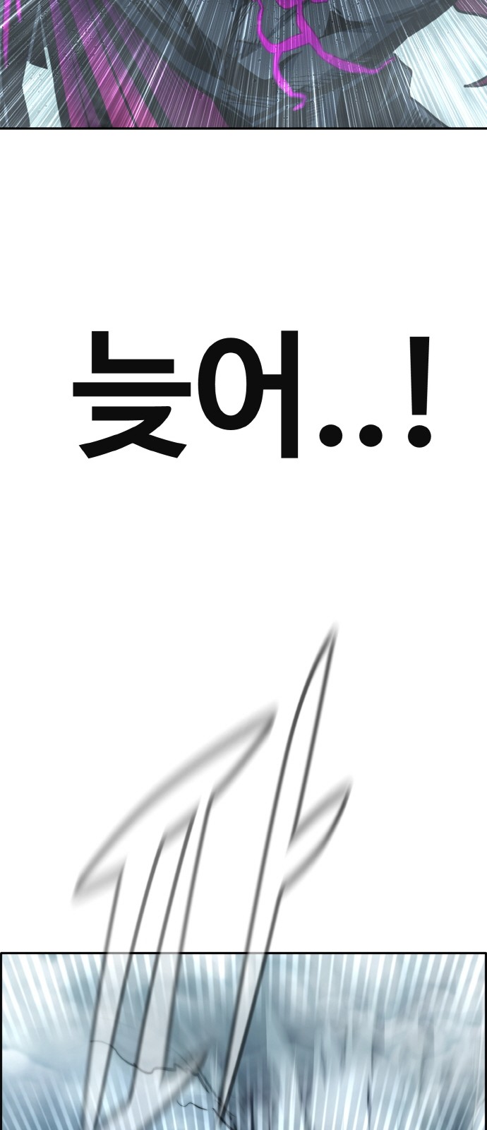113 페이지