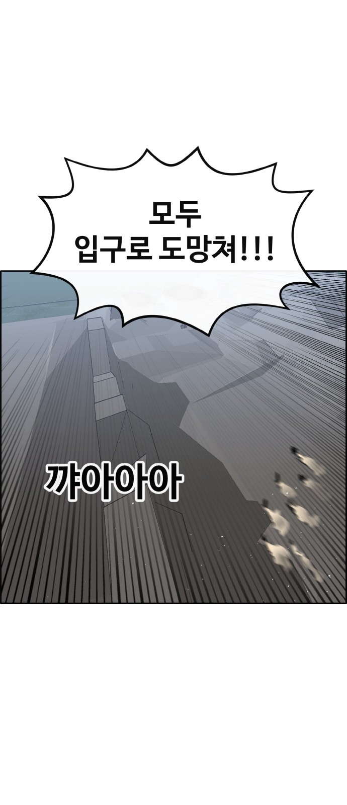 110 페이지