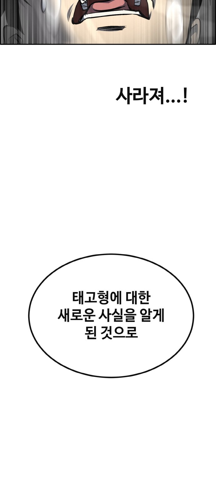 113 페이지