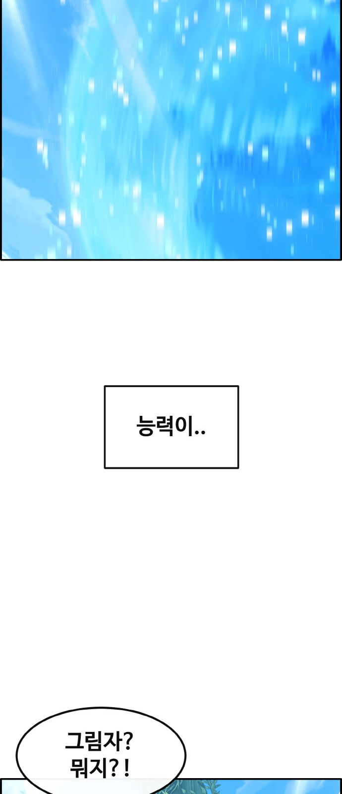 113 페이지