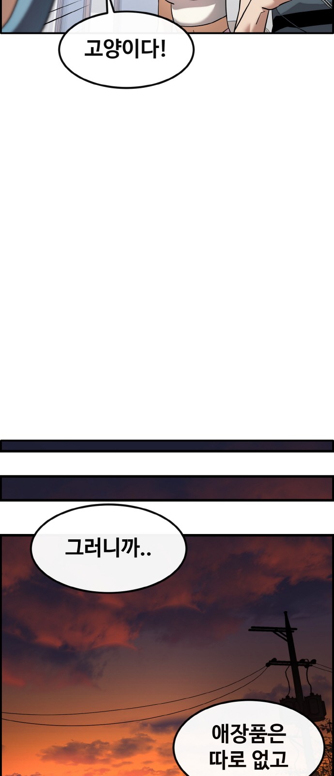 62 페이지