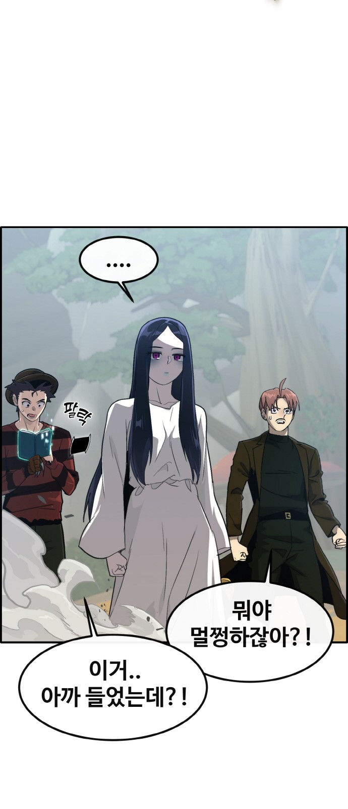 66 페이지