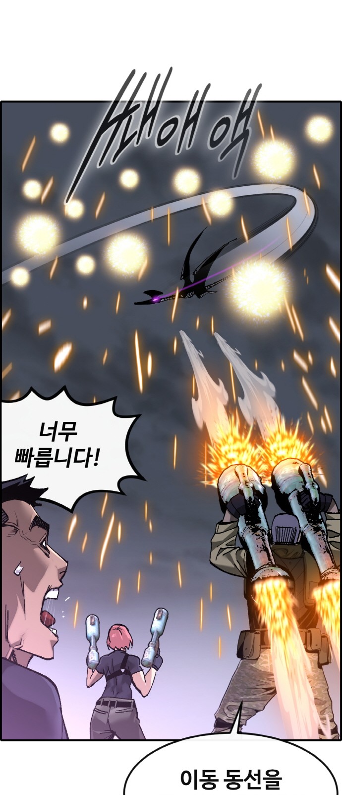 73 페이지
