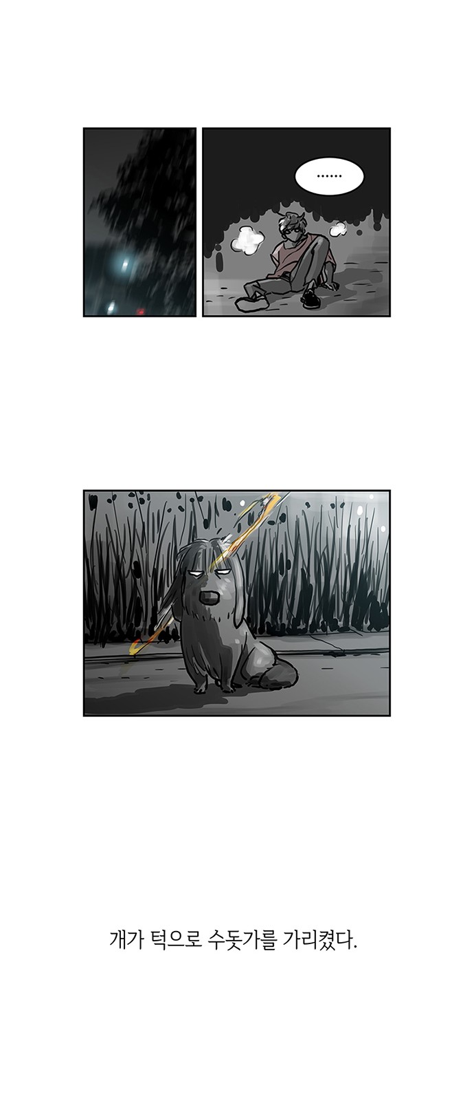 13 페이지