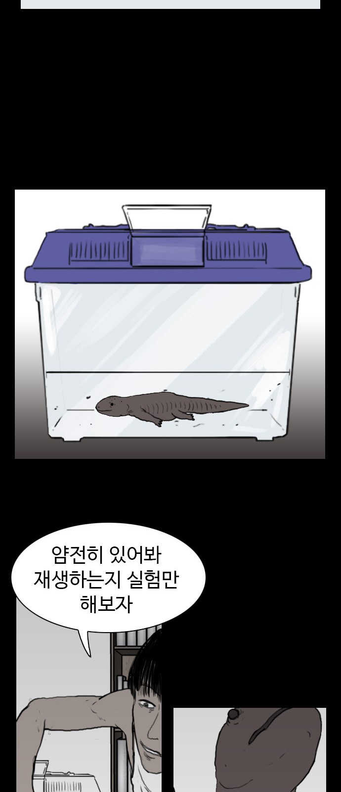 13 페이지