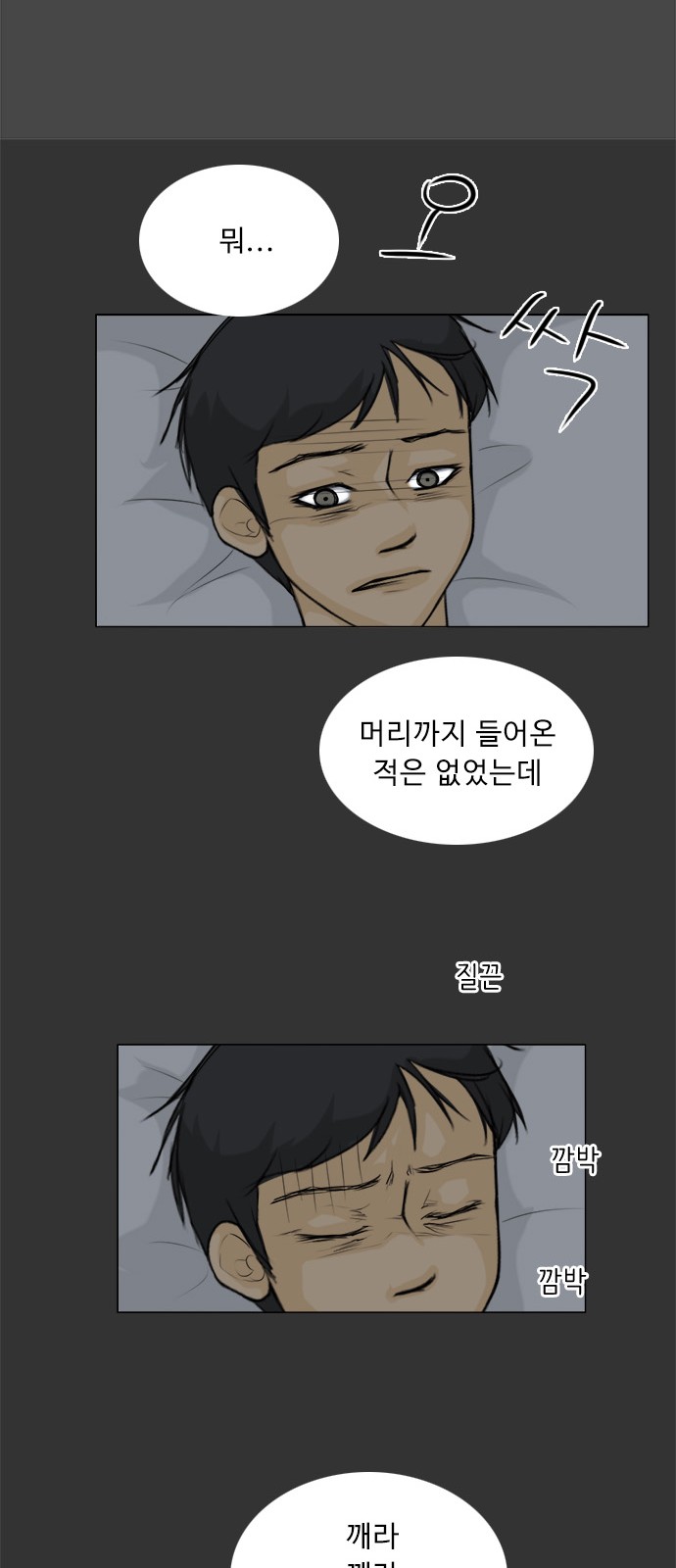 14 페이지