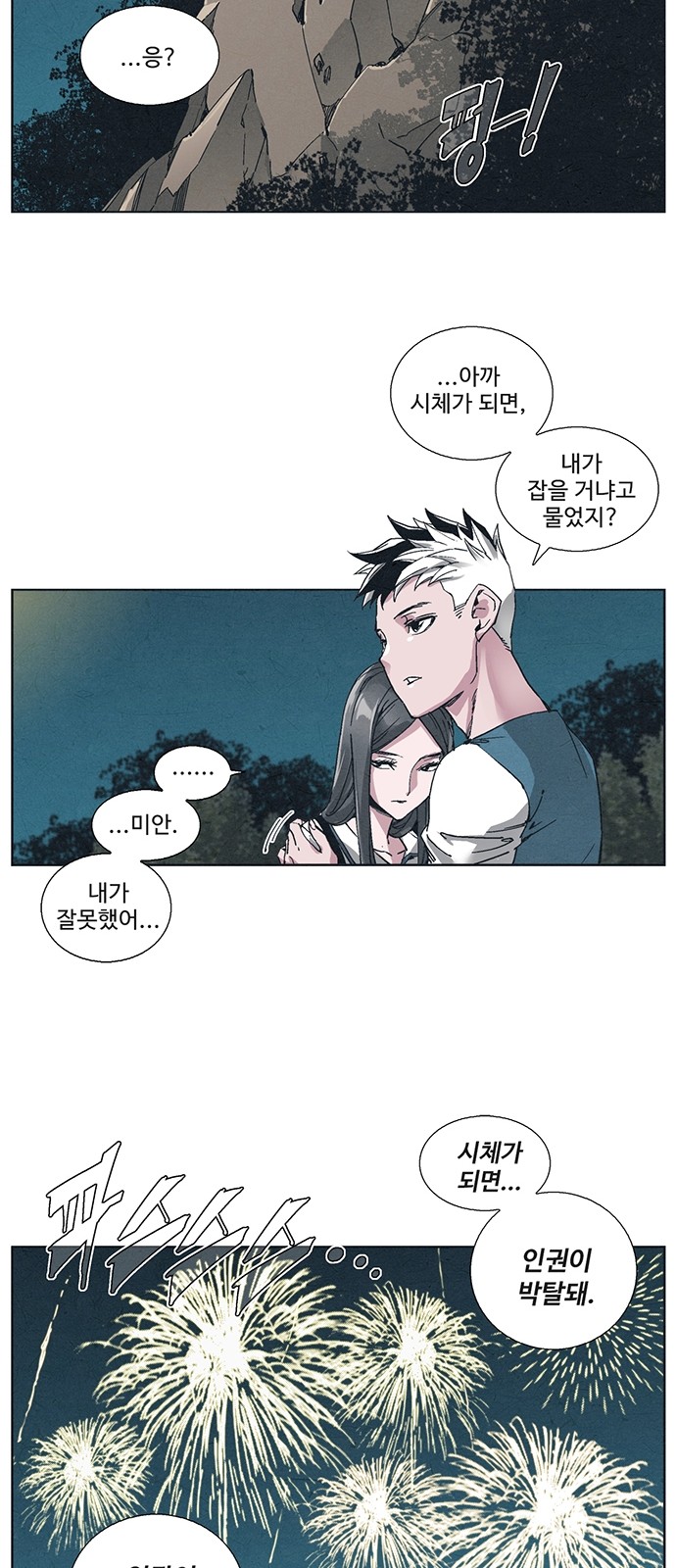 66 페이지