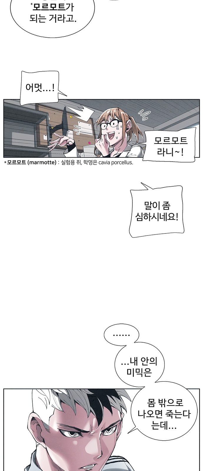 15 페이지