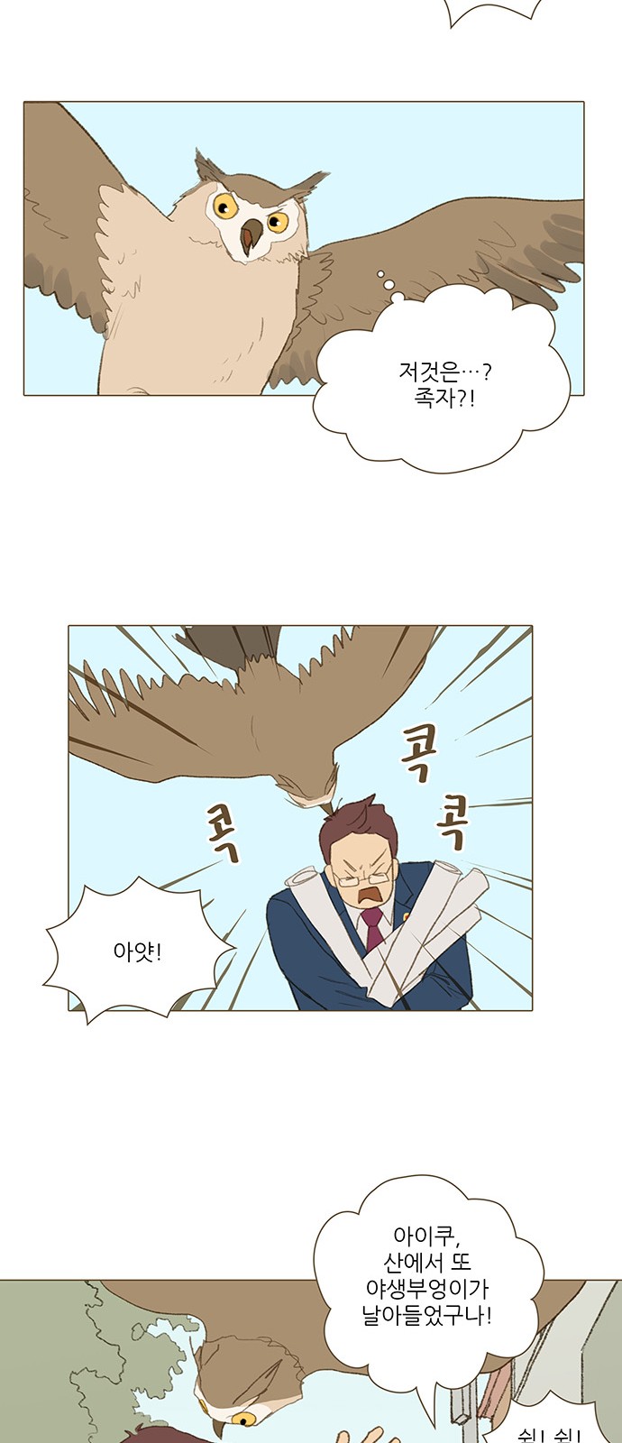 20 페이지