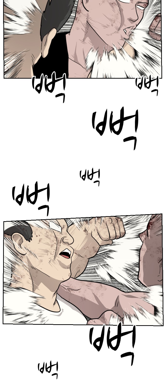 17 페이지