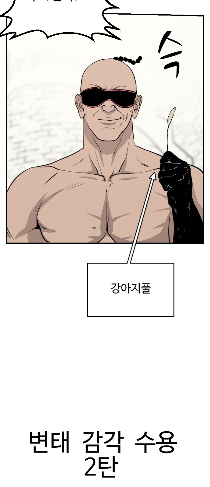50 페이지