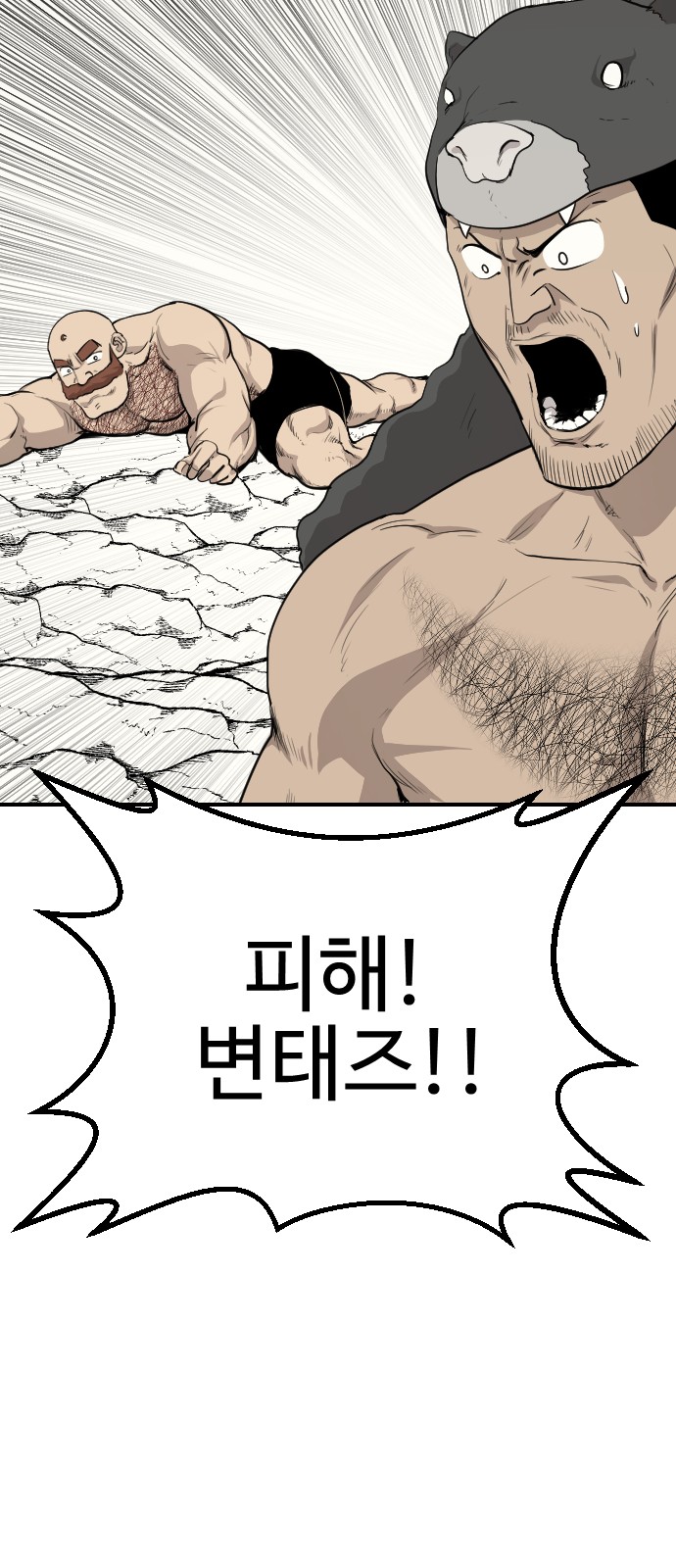 38 페이지