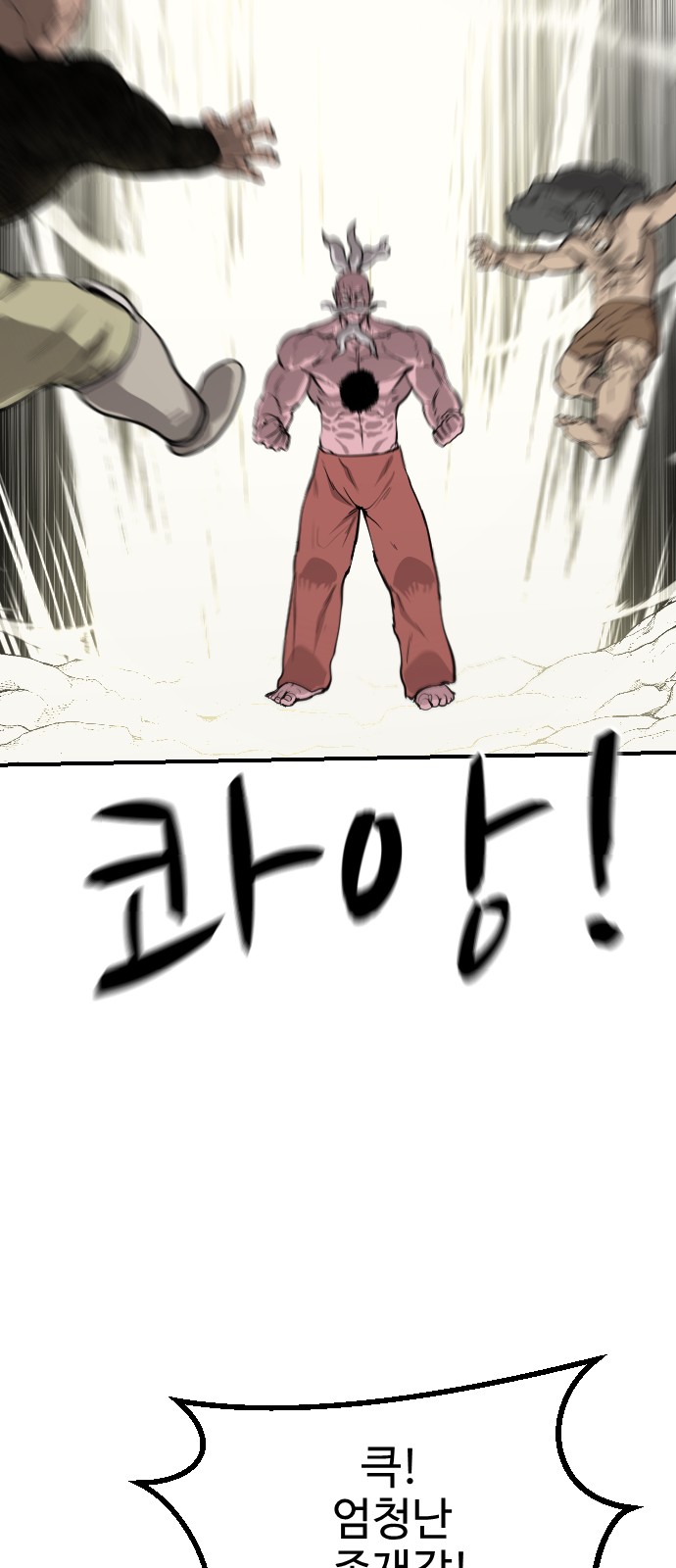 66 페이지