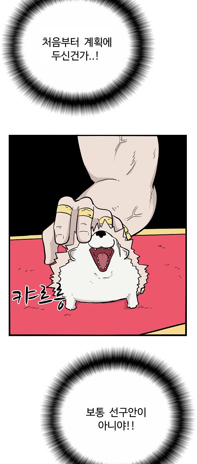 45 페이지
