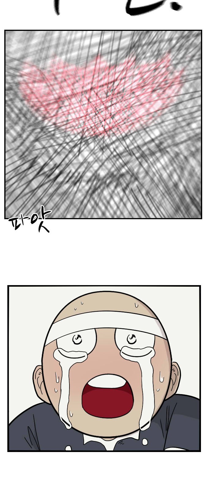 66 페이지