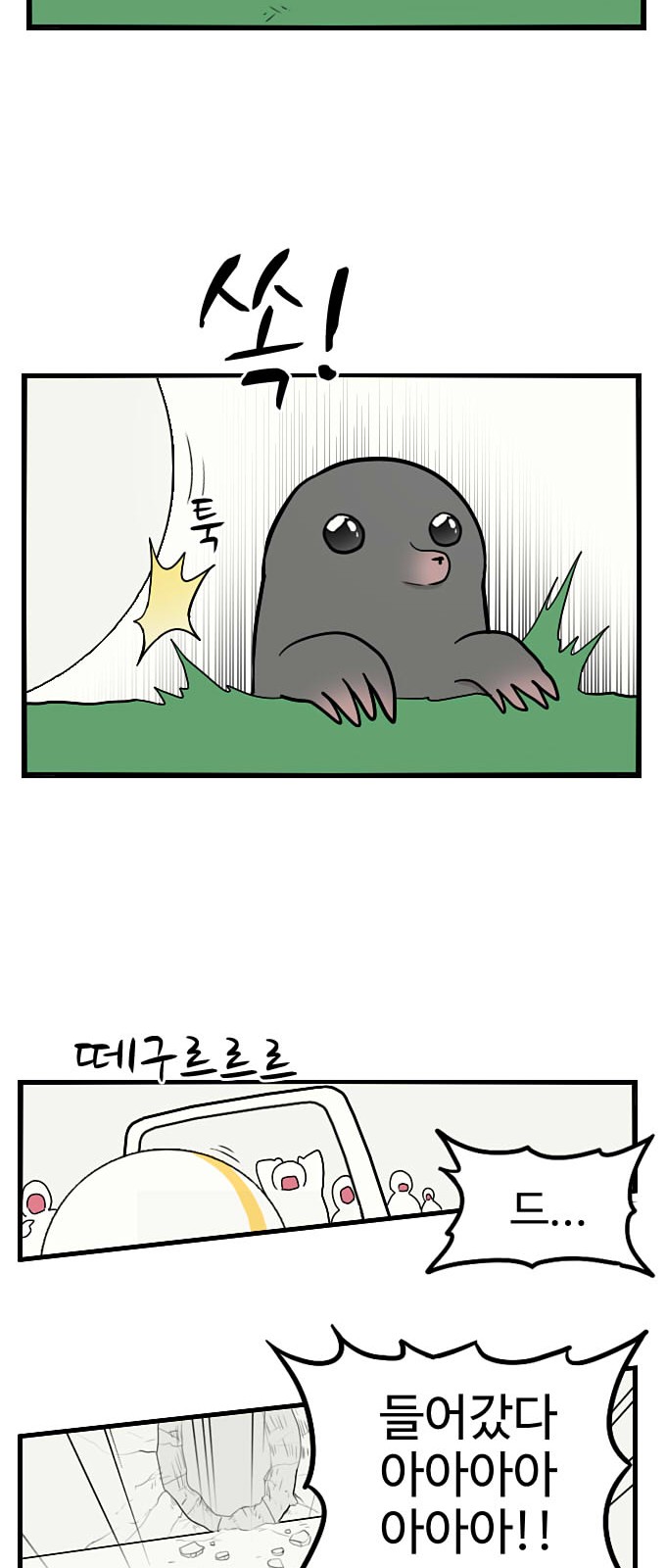 53 페이지