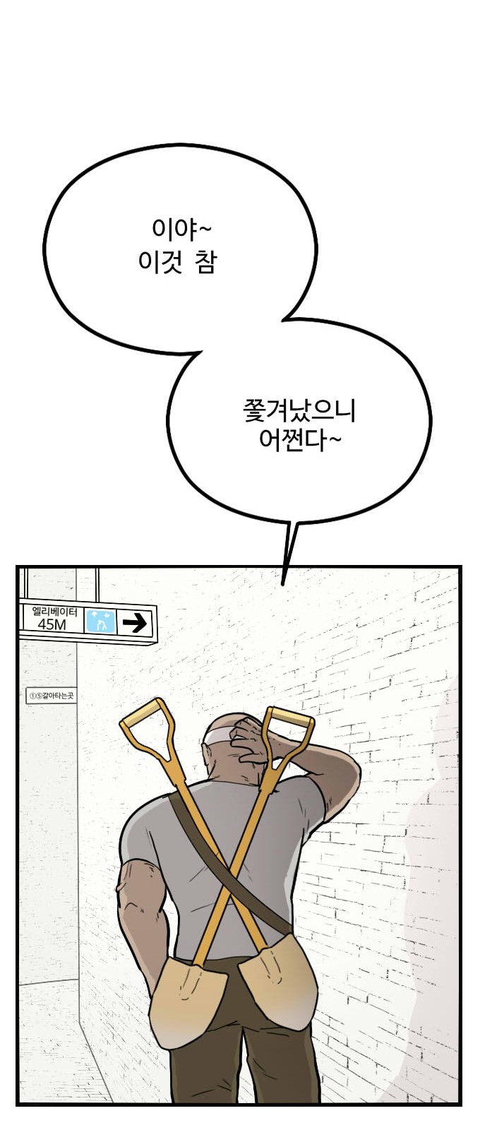 43 페이지