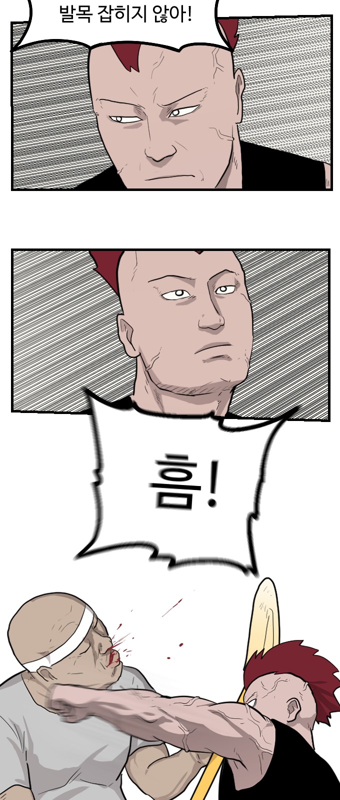 66 페이지