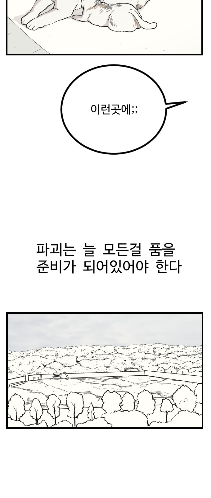 29 페이지