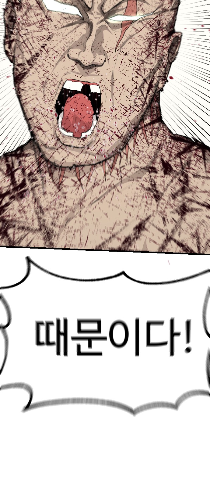 73 페이지
