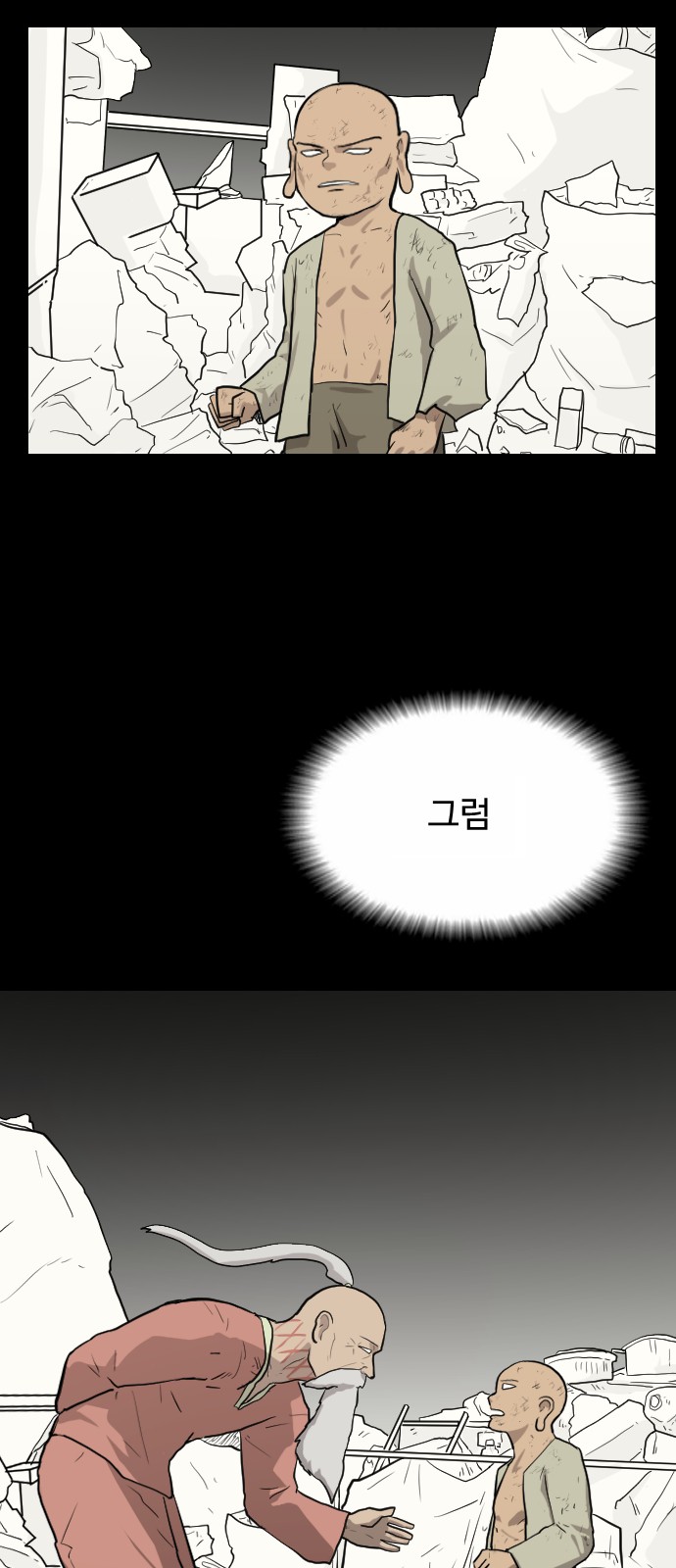 48 페이지