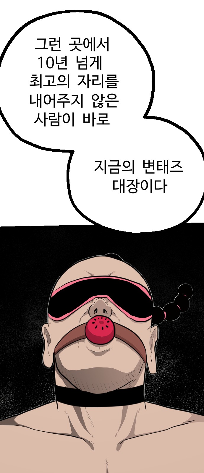 66 페이지