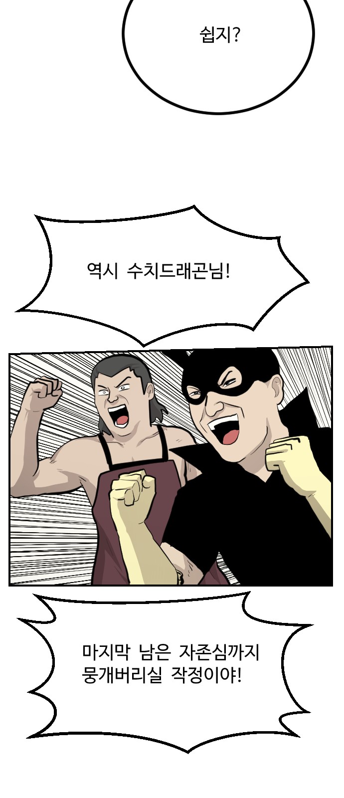 66 페이지