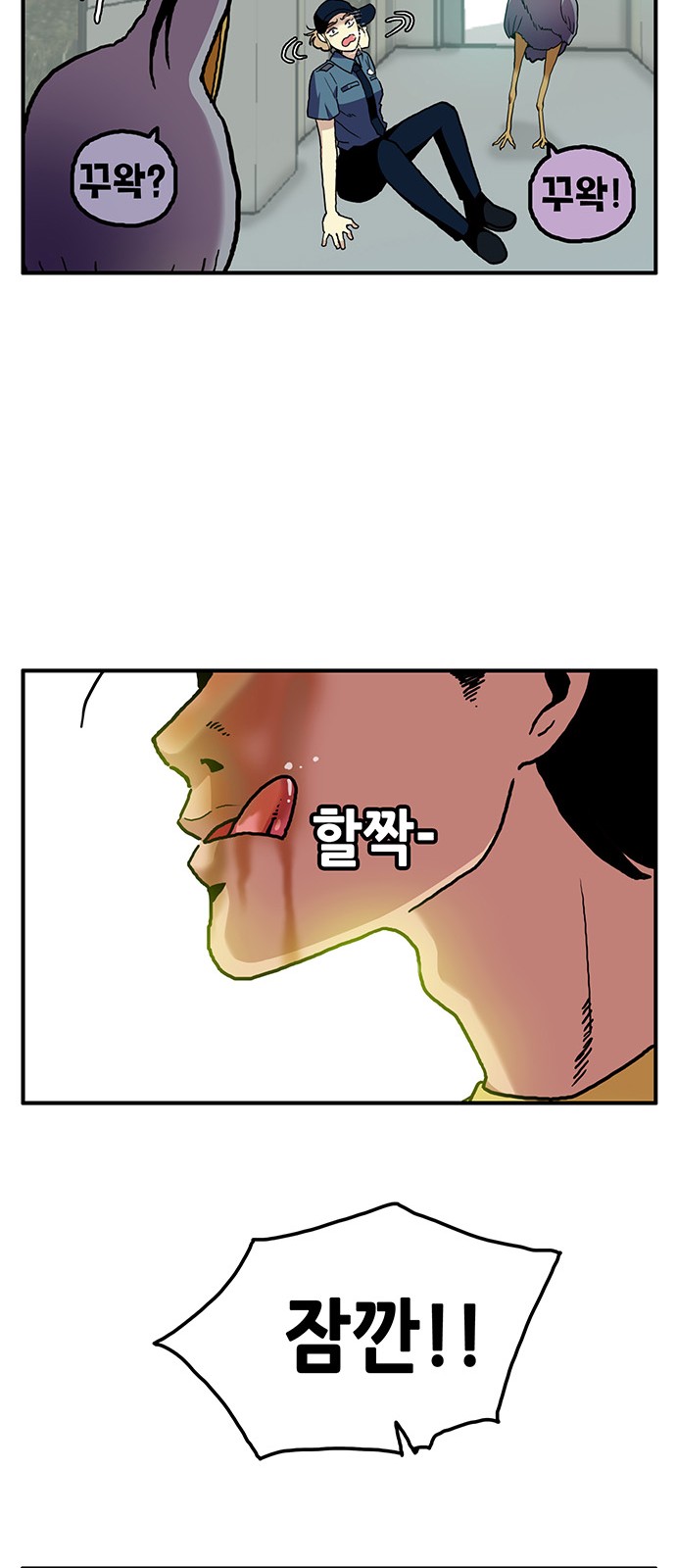 46 페이지
