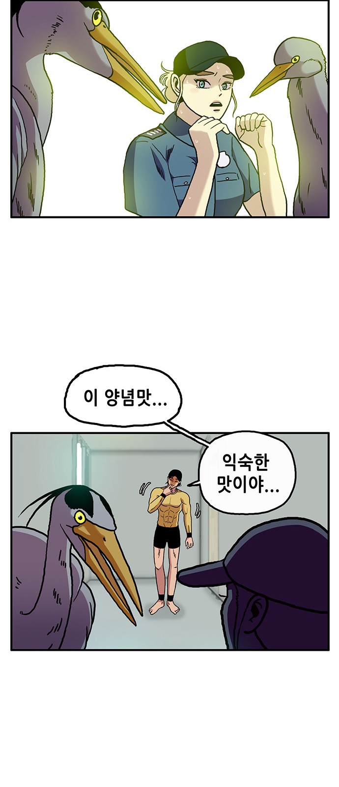 47 페이지