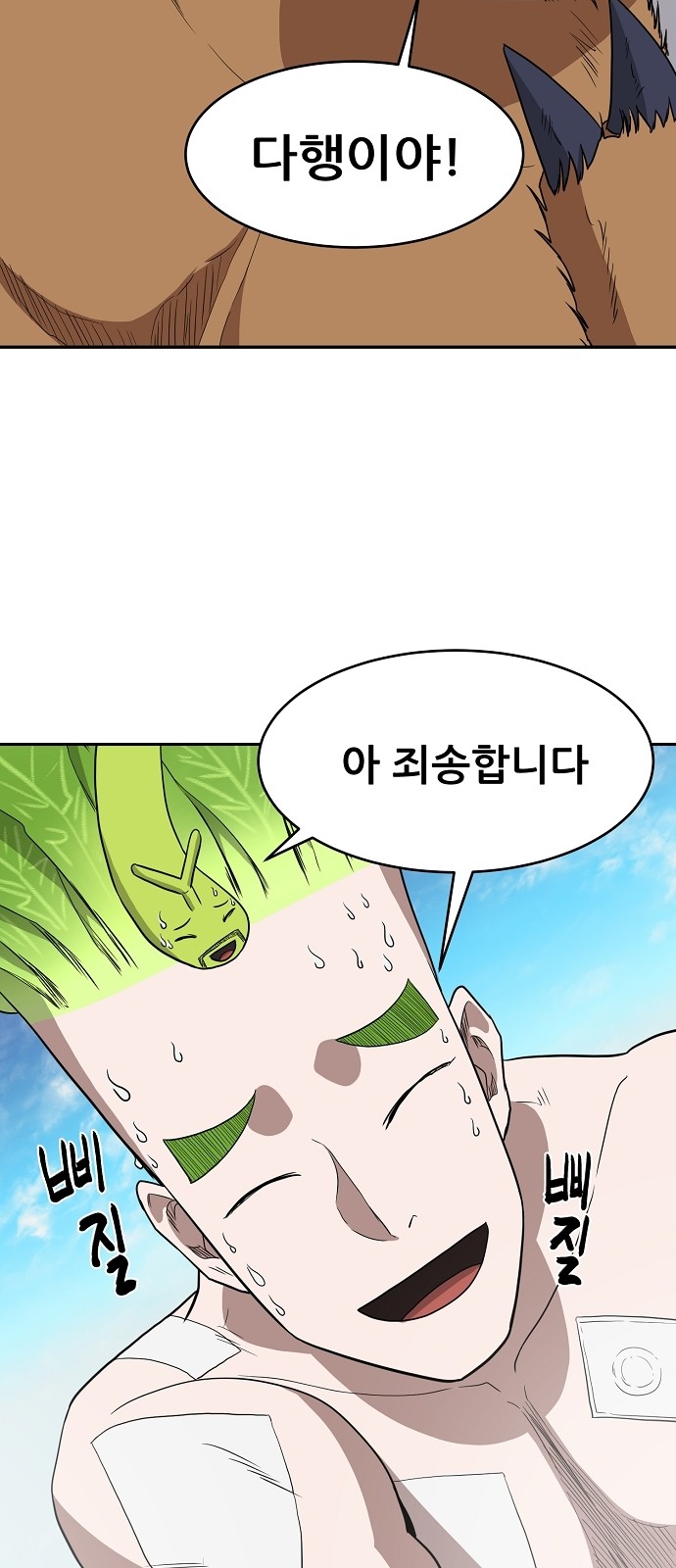 44 페이지