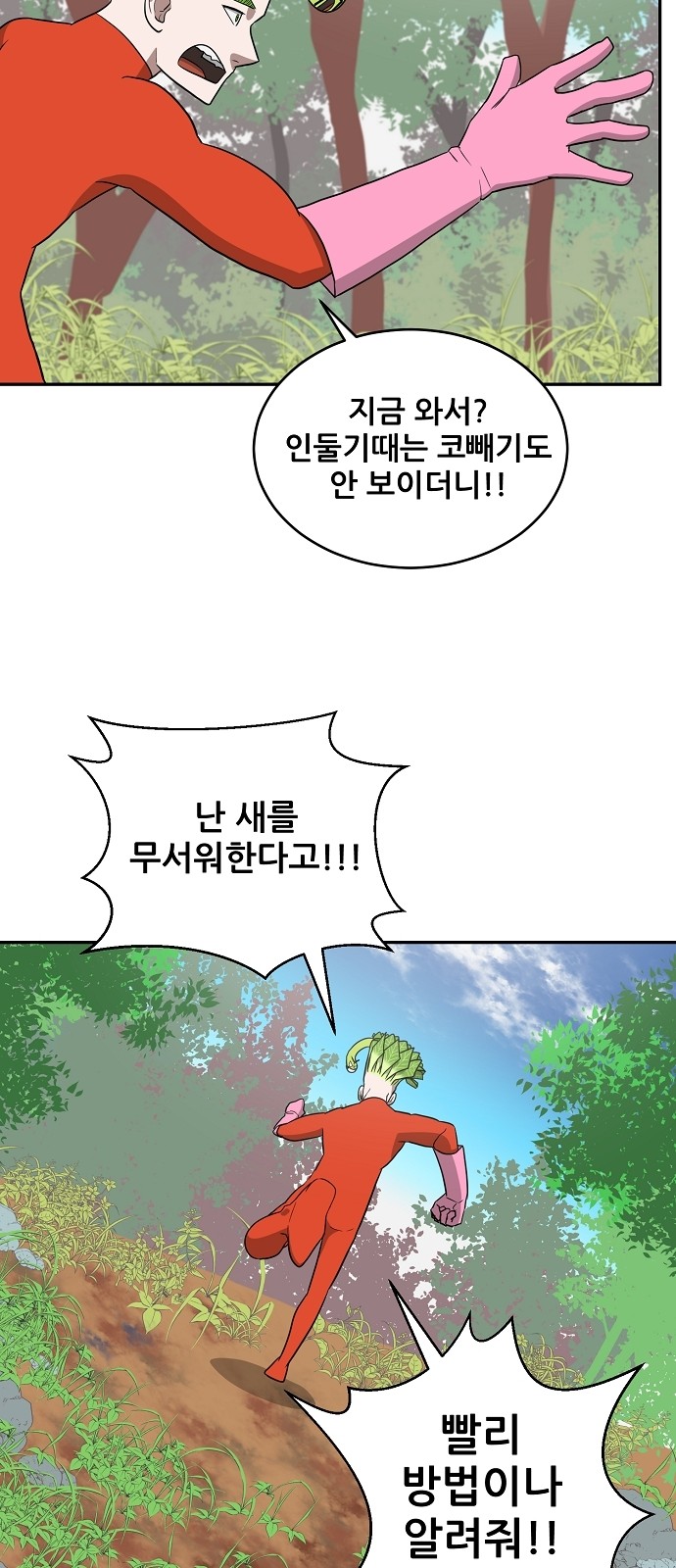 43 페이지