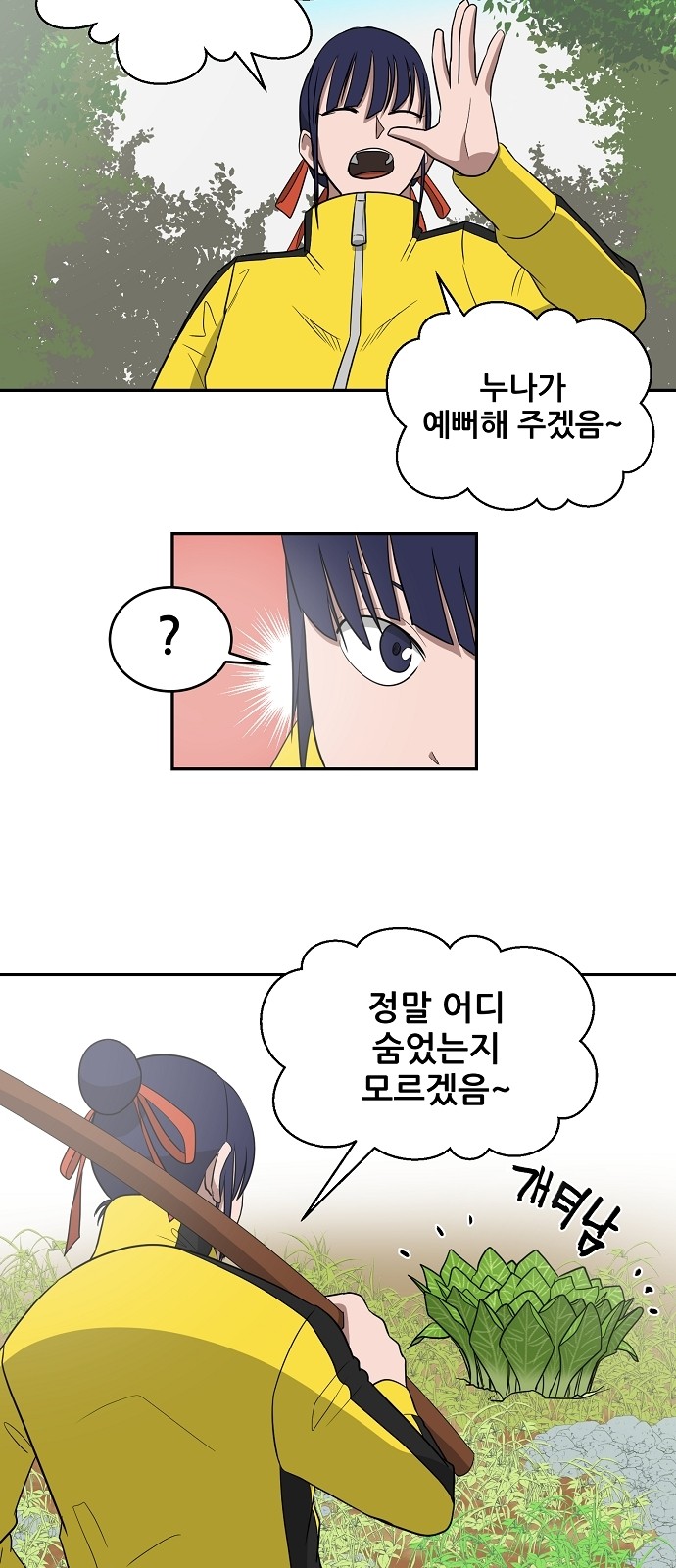 45 페이지