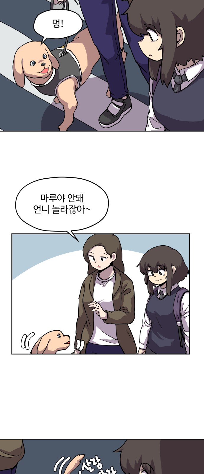 16 페이지