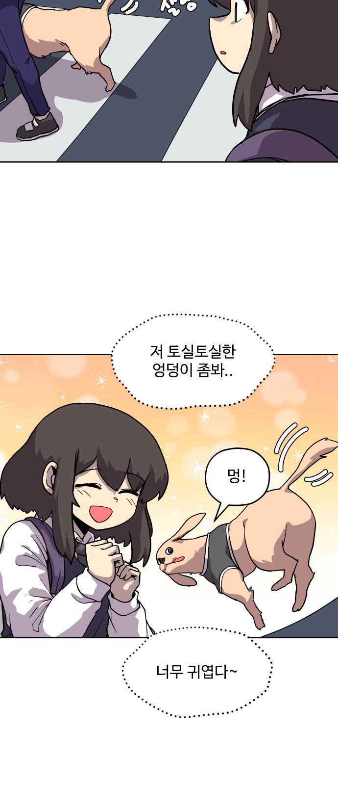 17 페이지