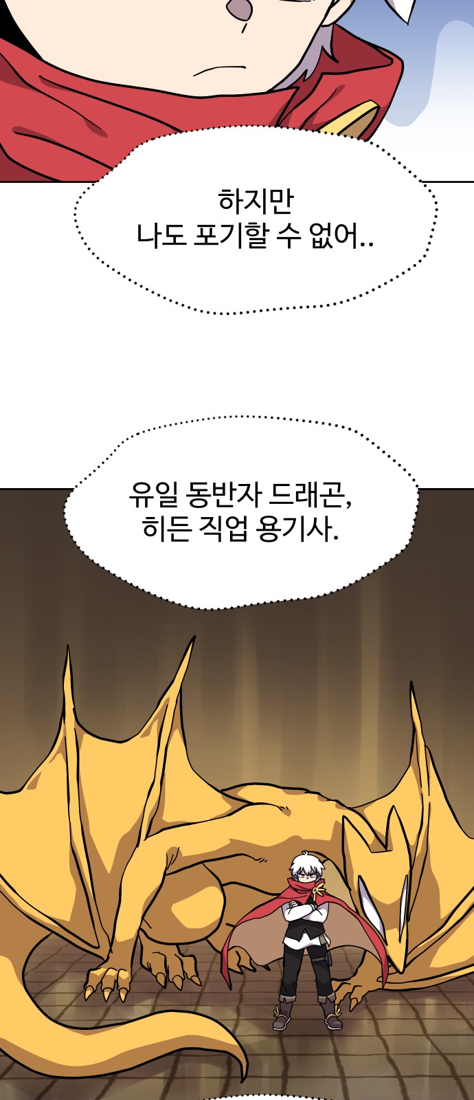 46 페이지