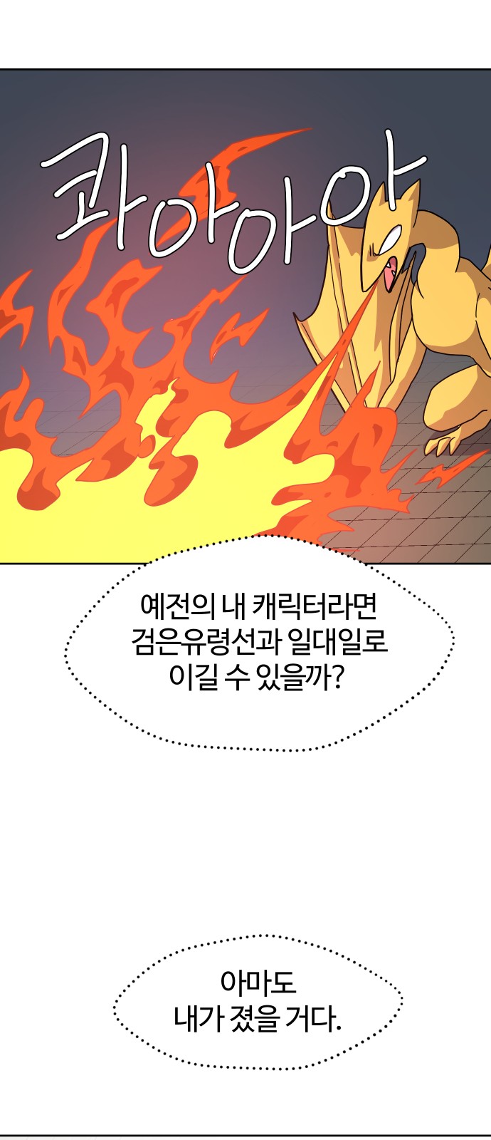 46 페이지