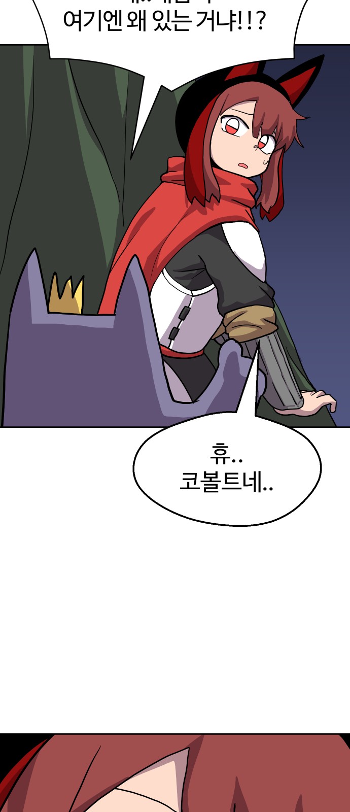 43 페이지