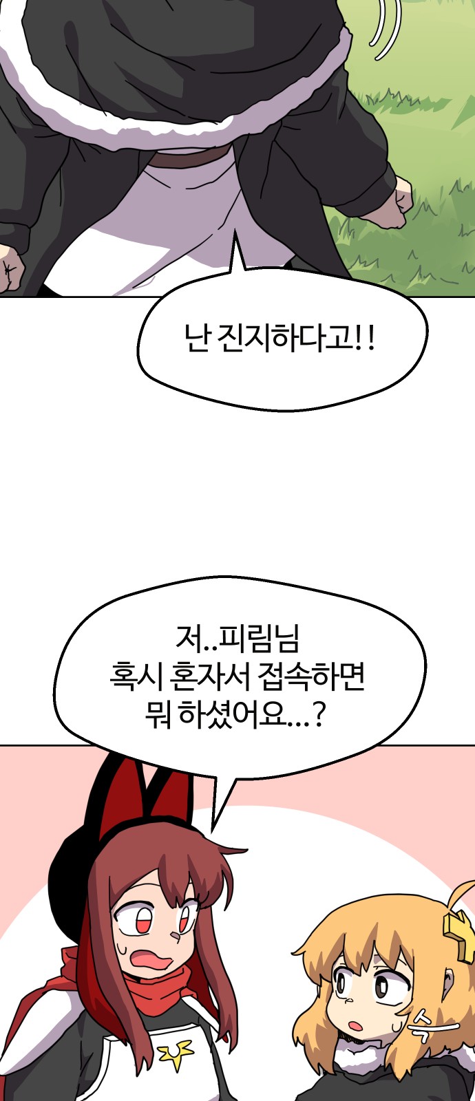 44 페이지