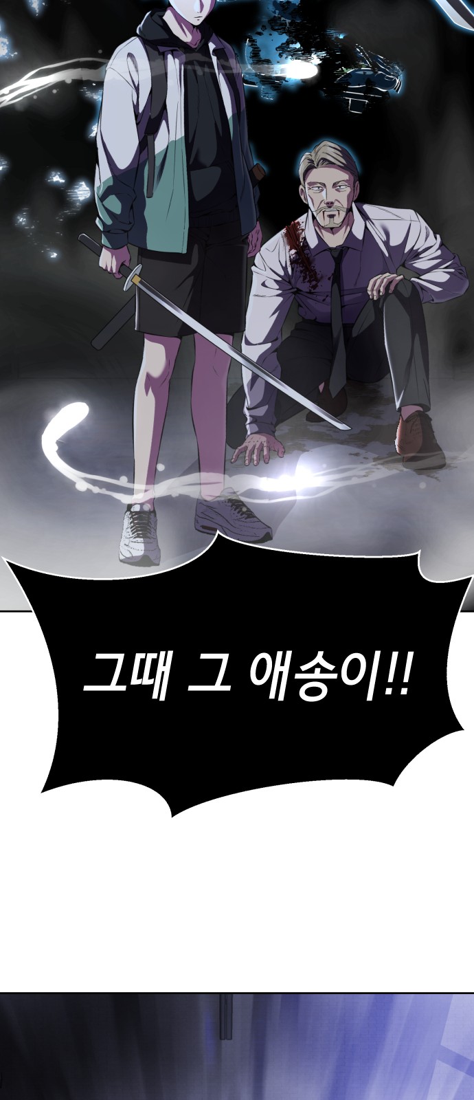 110 페이지