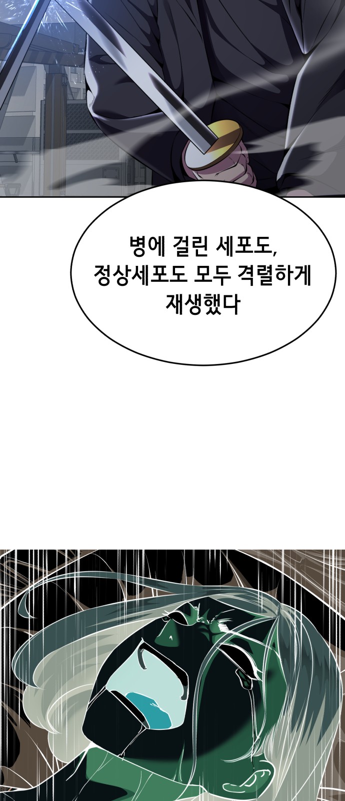 126 페이지
