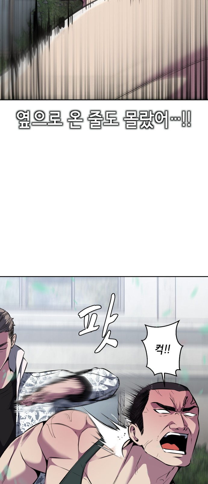 86 페이지