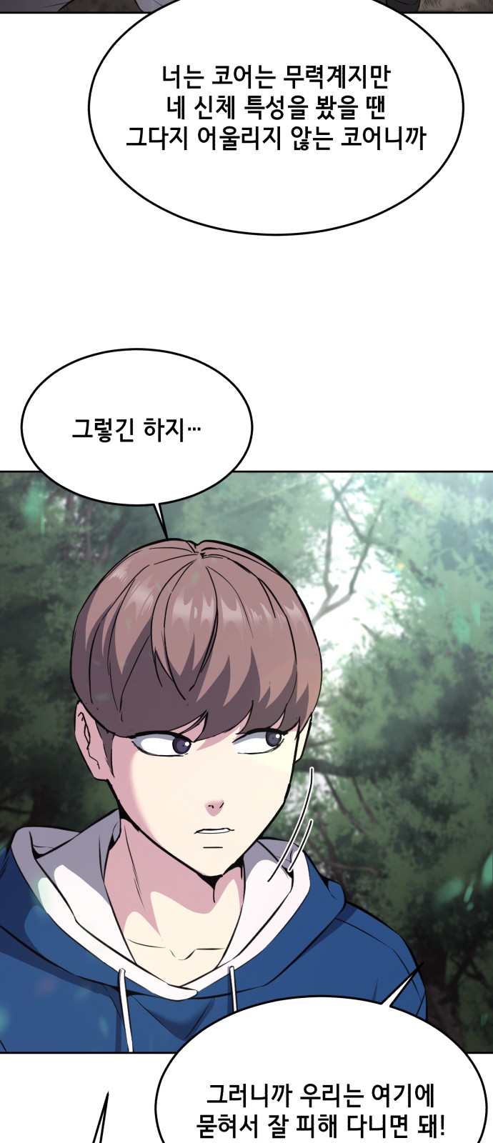 52 페이지