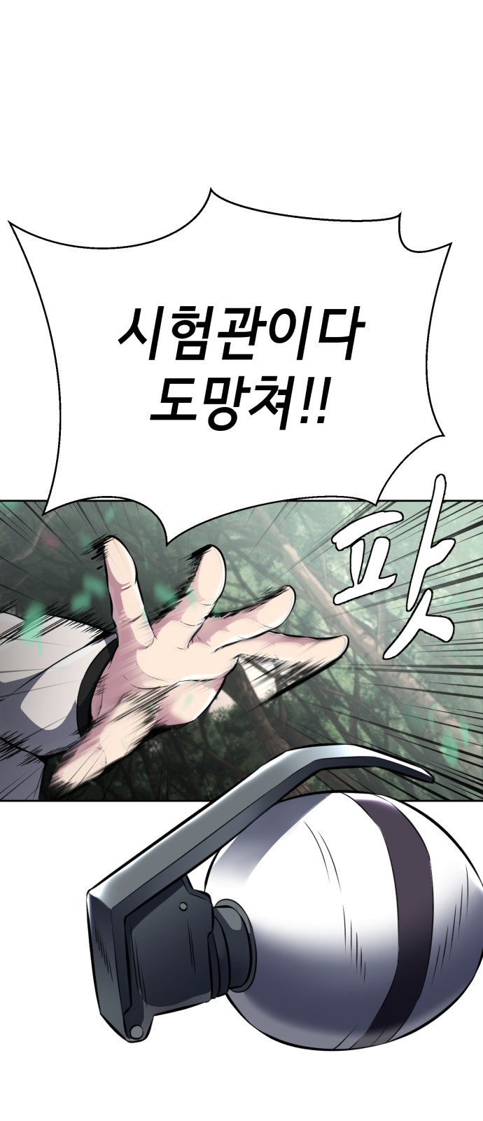 60 페이지