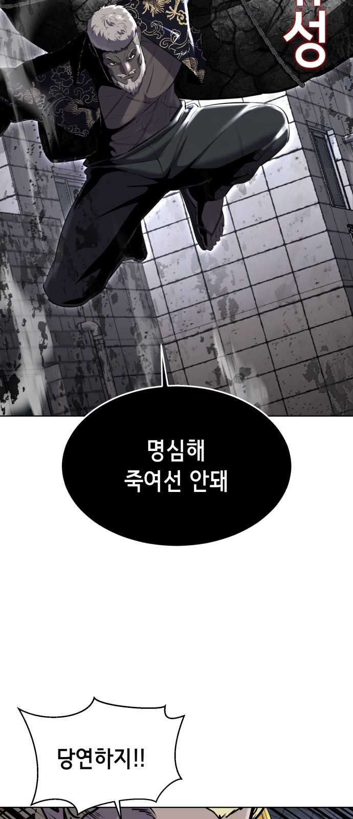 110 페이지