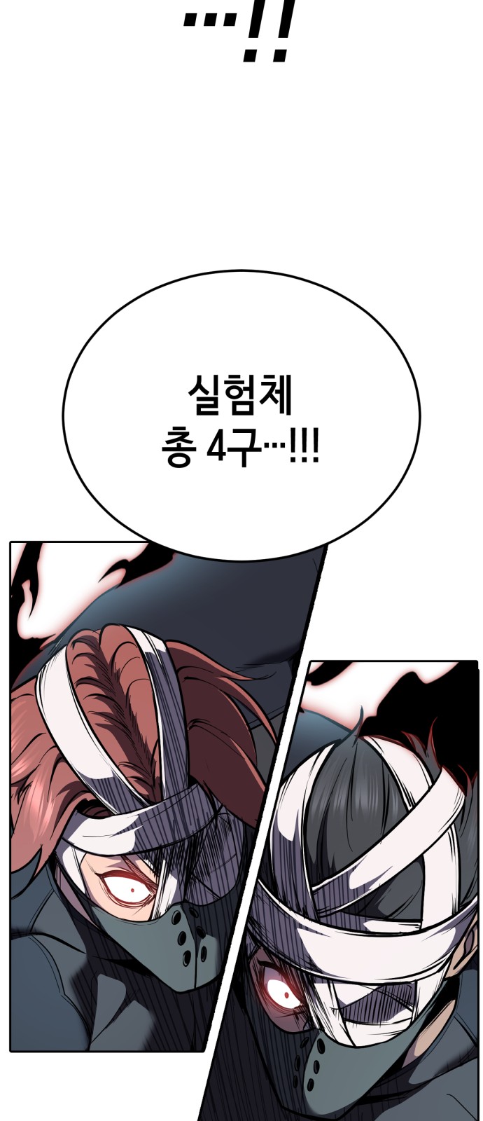 110 페이지