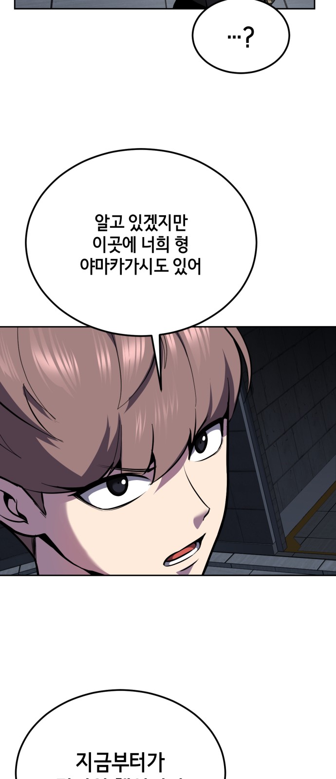 46 페이지
