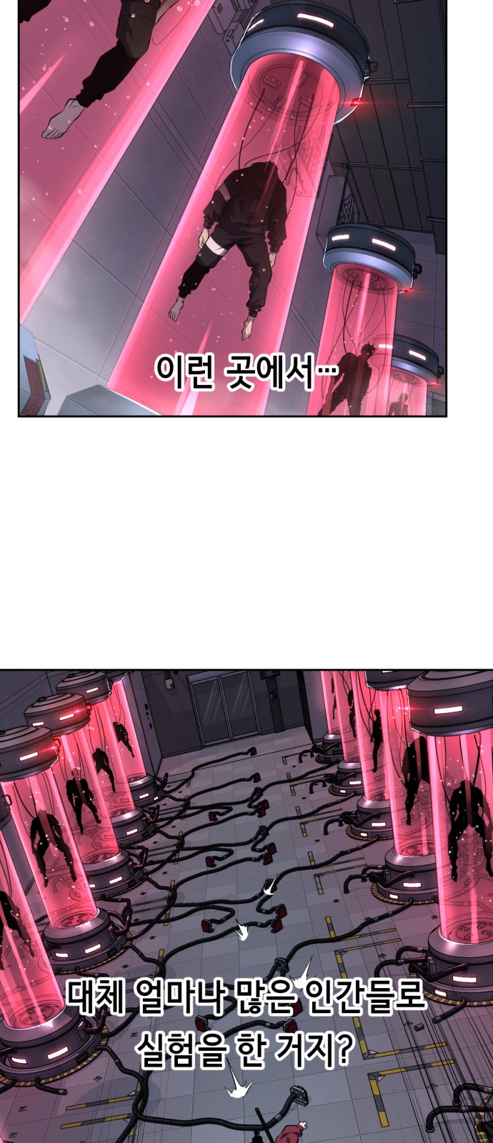 53 페이지
