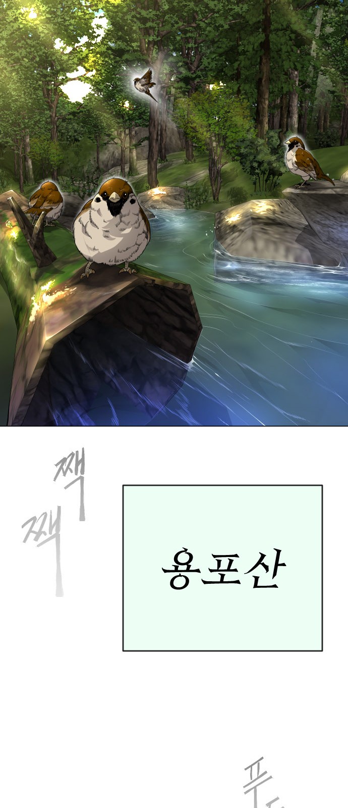 80 페이지